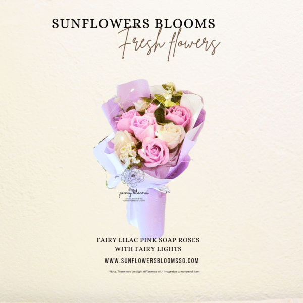 Soup Lilac Pink Roses with fariy lights
