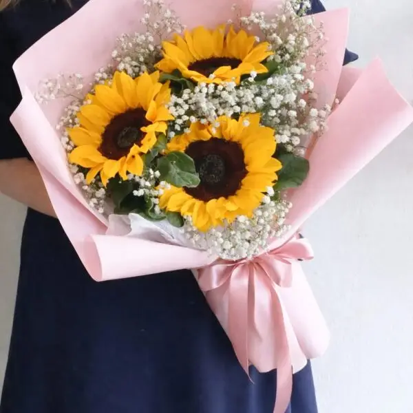 WhatsApp Image 2026 01 29 at 05.09.24